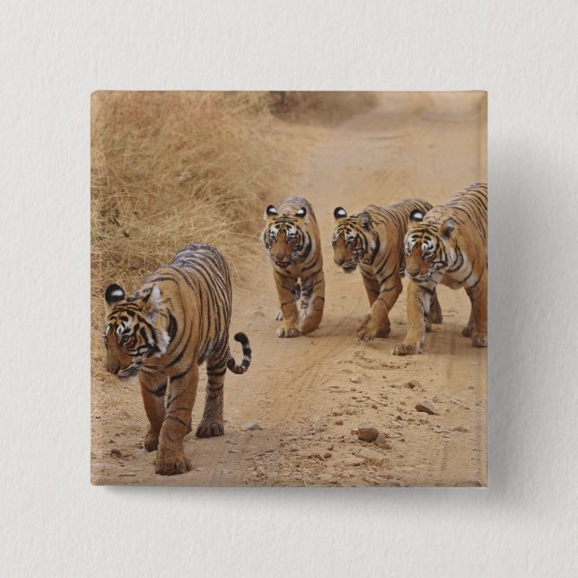Bengal Tigers 15 Cm Square Badge (Front)