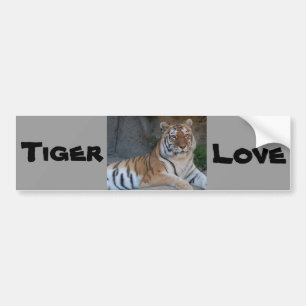 Bengal Tigers Bumper Sticker
