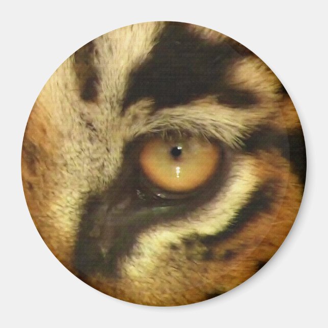 Bengal Tiger's Eye Wildlife Big Cat Lover Photo Magnet (Front)