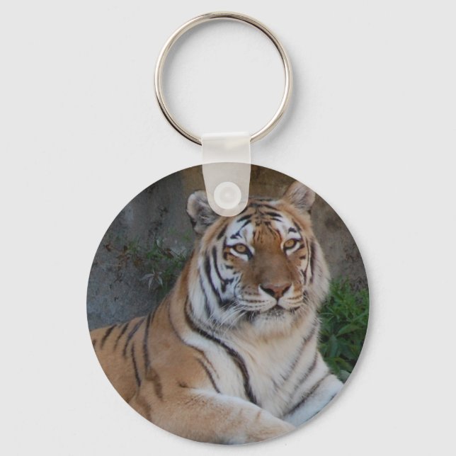 Bengal Tigers Key Ring (Front)