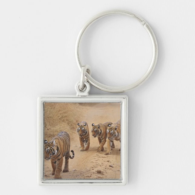 Bengal Tigers Key Ring (Front)