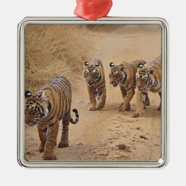 Bengal Tigers Metal Tree Decoration (Front)