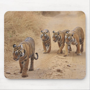 Bengal Tigers Mouse Pad