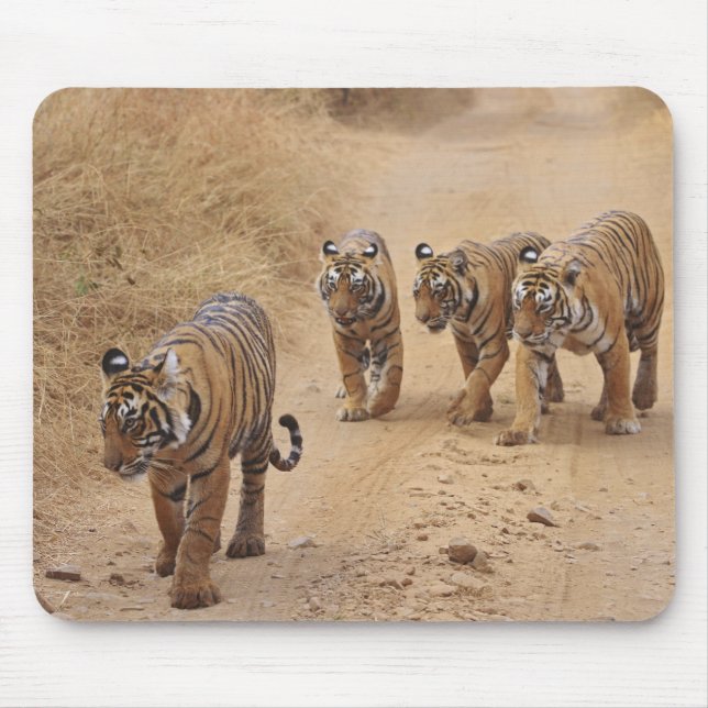 Bengal Tigers Mouse Pad (Front)