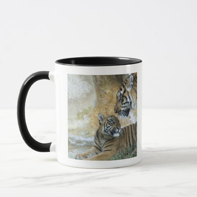 Bengal tigers relaxing mug (Left)