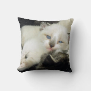 Benita the Kitten Cushion