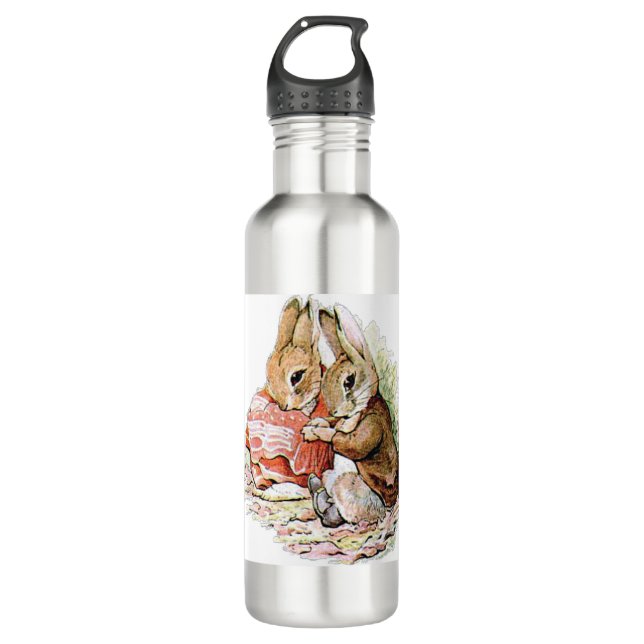 Benjamin Bunny and Peter Rabbit plan their raid 710 Ml Water Bottle (Front)