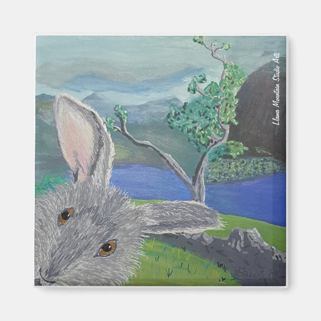 Benjamin P. Rabbit bunny Magnet (Front)