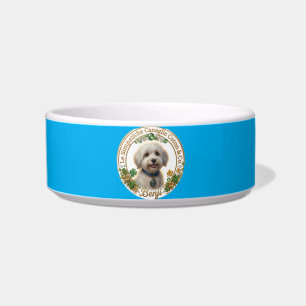 Benji Blue Bowl - Coton Detectives