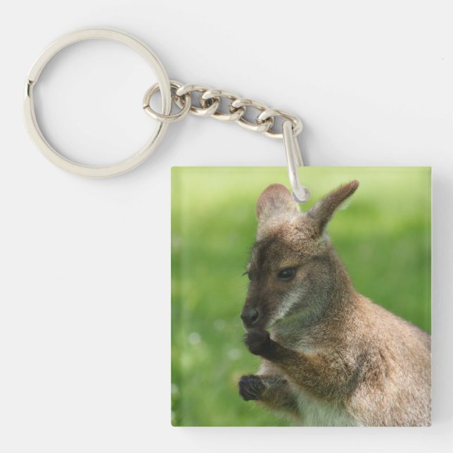 Bennett's Wallaby Key Ring (Front)