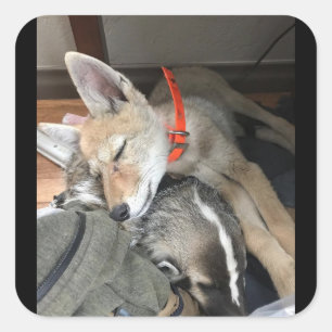 Benny and Doc Stickers