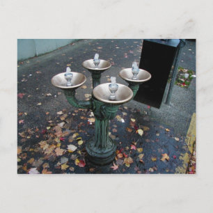 Benson Bubbler Portland Oregon Postcards