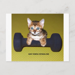 Bental Kitten with Dumbbell Yellow Postcard