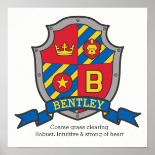 Bentley boys name meaning heraldry shield letter B Poster