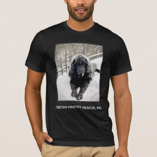 Bentley T shirt Black