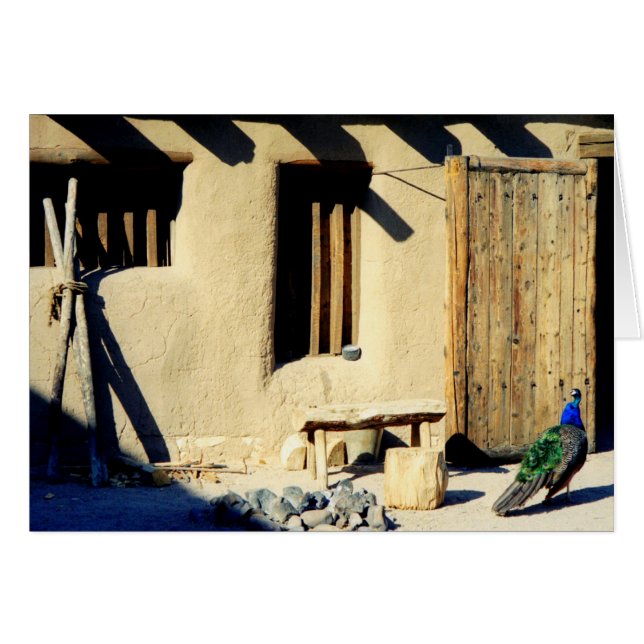 Bents Old Fort Peacock (Front Horizontal)