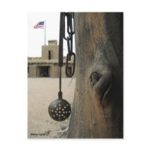 Bents Old Fort Postcard