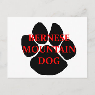 ber mt dog name  paw.png postcard