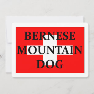 ber mt dog name switzerland flag.png