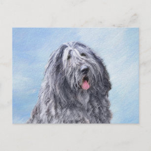 Bergamasco Sheepdog Painting - Cute Original Dog A Postcard