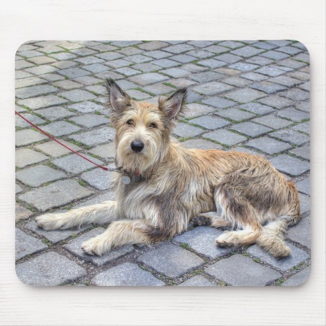 Berger de Picardie Mouse Pad (Front)