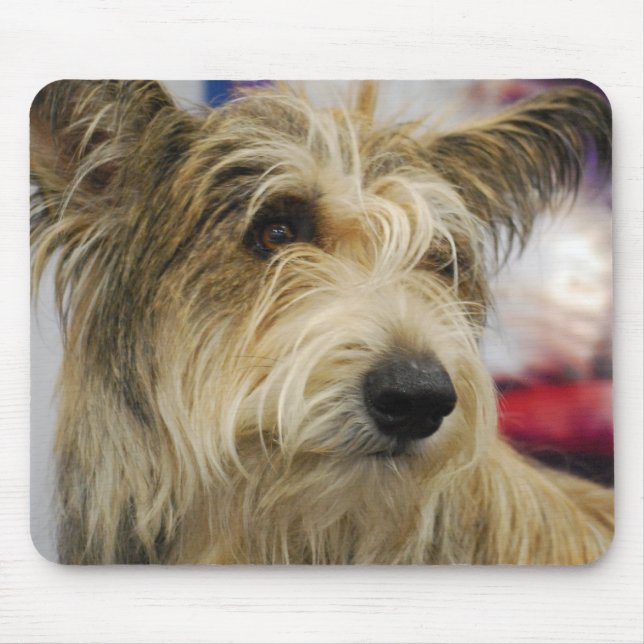 Berger Picard Dog  Mouse Pad (Front)