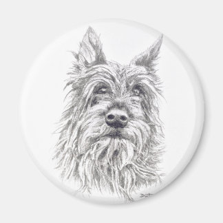 Berger Picard Magnet