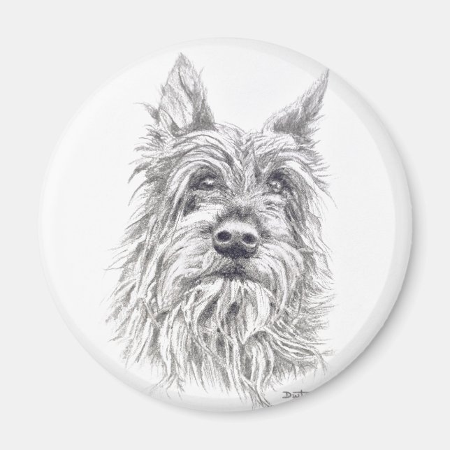 Berger Picard Magnet (Front)