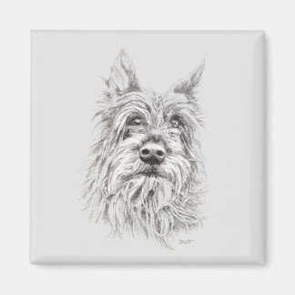 Berger Picard Magnet