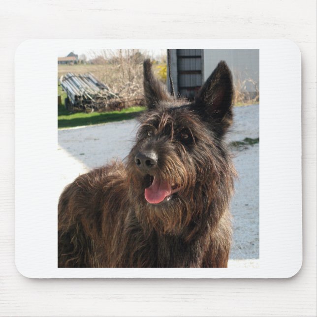 berger picard mouse pad (Front)