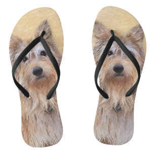 Berger Picard Painting - Cute Original Dog Art Thongs