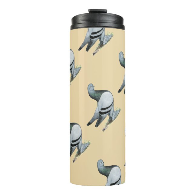 Berliner Tumbler Pigeon Blue Bar (Front)