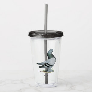 Berliner Tumbler Pigeon Blue Bar