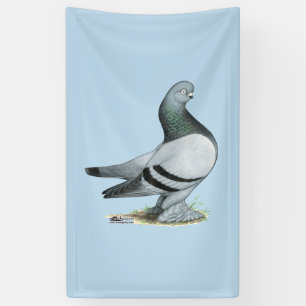 Berliner Tumbler Pigeon Blue Bar Banner