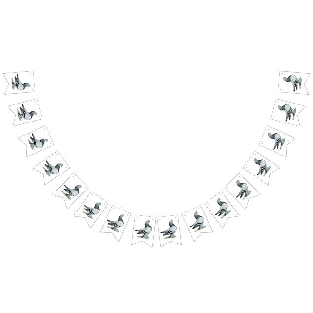 Berliner Tumbler Pigeon Blue Bar Bunting (All)