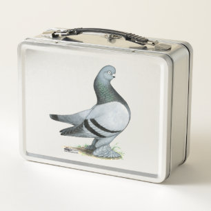 Berliner Tumbler Pigeon Blue Bar Metal Lunch Box