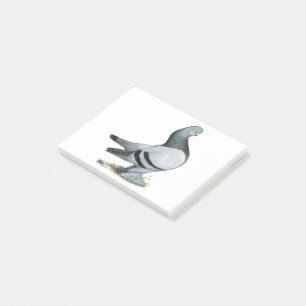 Berliner Tumbler Pigeon Blue Bar Post-it Notes