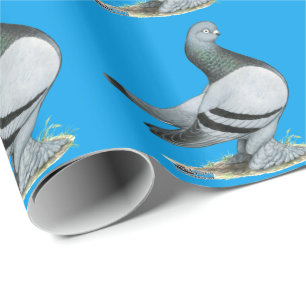 Berliner Tumbler Pigeon Blue Bar Wrapping Paper