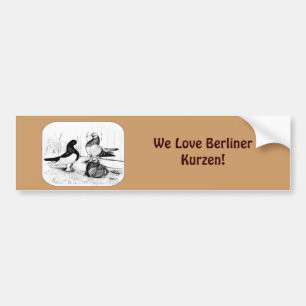 Berliner Tumbler Pigeon Trio 1980 Bumper Sticker