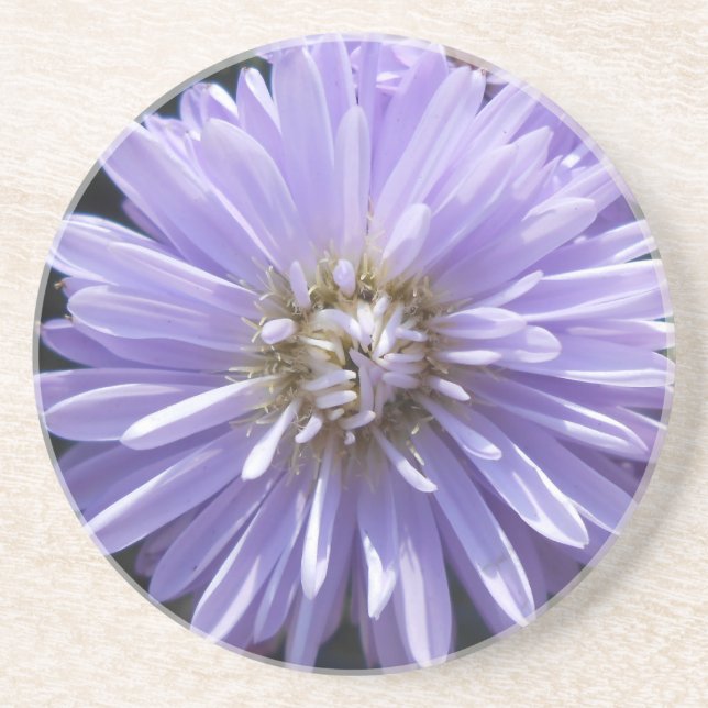 Berlinette Coaster (Front)