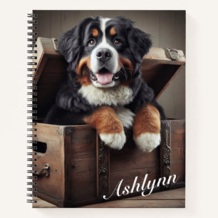 Bermese Mountain Dog in a Vintage Chest Notebook