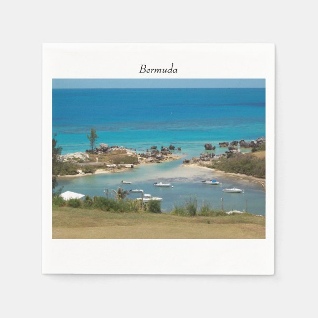 Bermuda Cove Marina Napkin (Front)