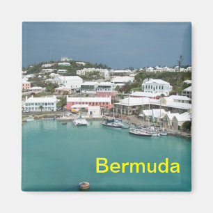 bermuda magnet