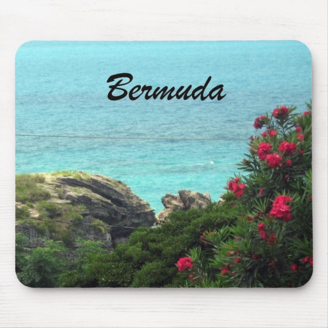 Bermuda Mouse Pad (Front)
