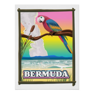 Bermuda Paraside. Poster