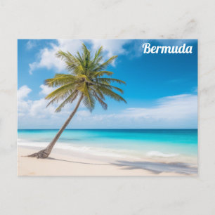 Bermuda Tropical Beach Ocean Palm Tree Travel Postcard