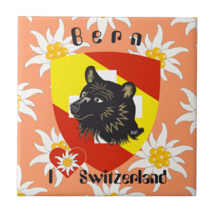 Bern Berne Berna Schweiz Suisse Fliese Tile