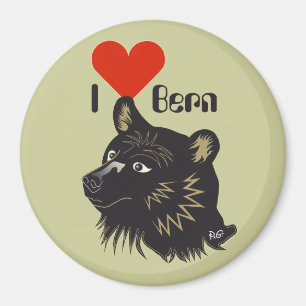 Bern Berne Berna Schweiz Suisse Svizzera Svizra Magnet