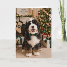 Bernedoodle Christmas Card