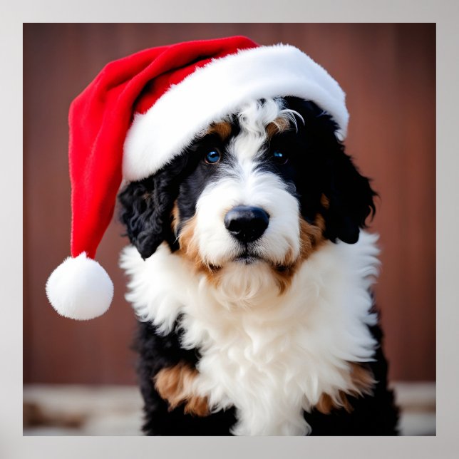 Bernedoodle Christmas Poster (Front)